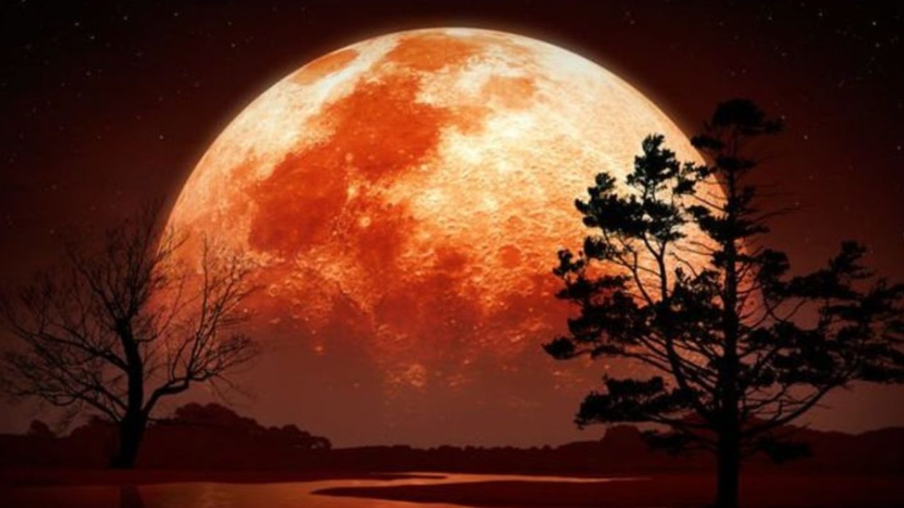 Loon Moon by Curlytales