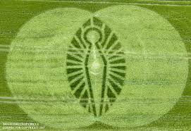 CE Crop circle