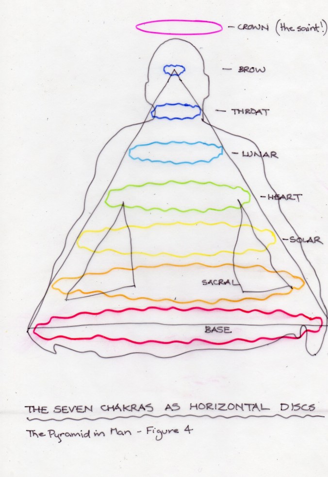 PIM fig 4 Horizontal Discs